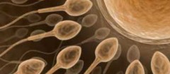 clinicas-de-fertilizacao-humana-franca-1470224424