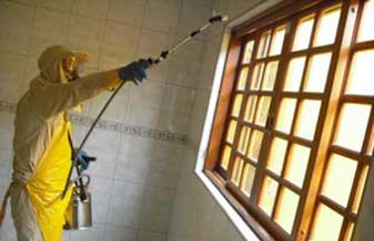 Andrade Dedetizadora e Desentupidora - Foto 1