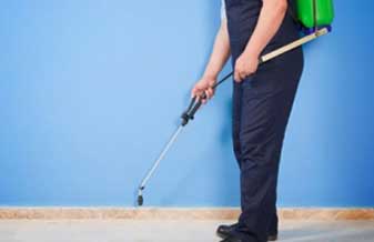 Desentupidora e Dedetizadora Progresso - Foto 1