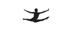 ginastica-artistica-franca-1470947977