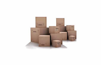 A Executiva Mudanças - Foto 1