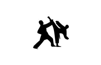 Associação Hwa Rang Taekwondo - Foto 1