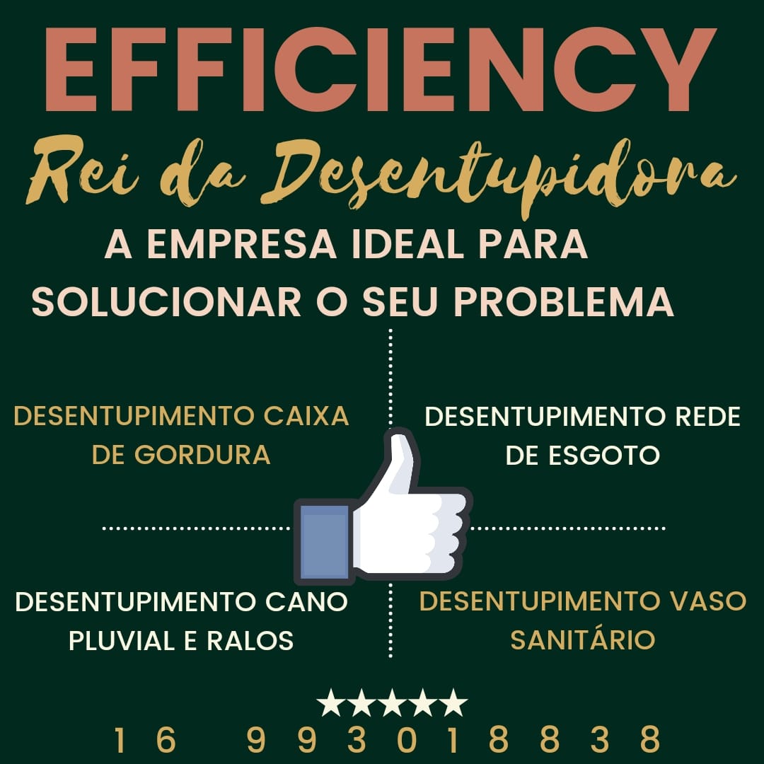 Rei da Desentupidora Efficiency - Foto 1