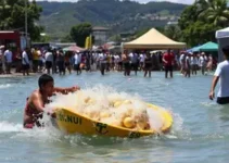 Portal Oficial de Franca