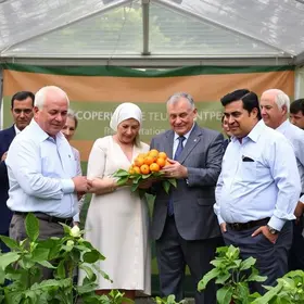 Coopercitrus Valtra Franca