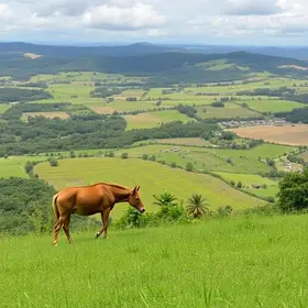 fim de semana em Ribeirão Preto e Franca