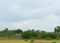 umidade do ar