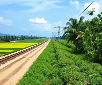 infraestrutura e segurança jurídica para o agronegócio