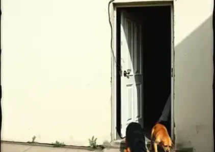 Últimas noticias de Franca
