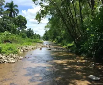 proteção do córrego Cubatão